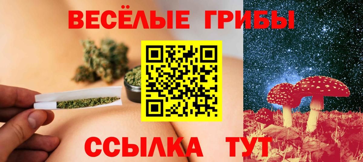 Галлюциногенные грибы Psilocybe  Вход с VPN  Протвино 