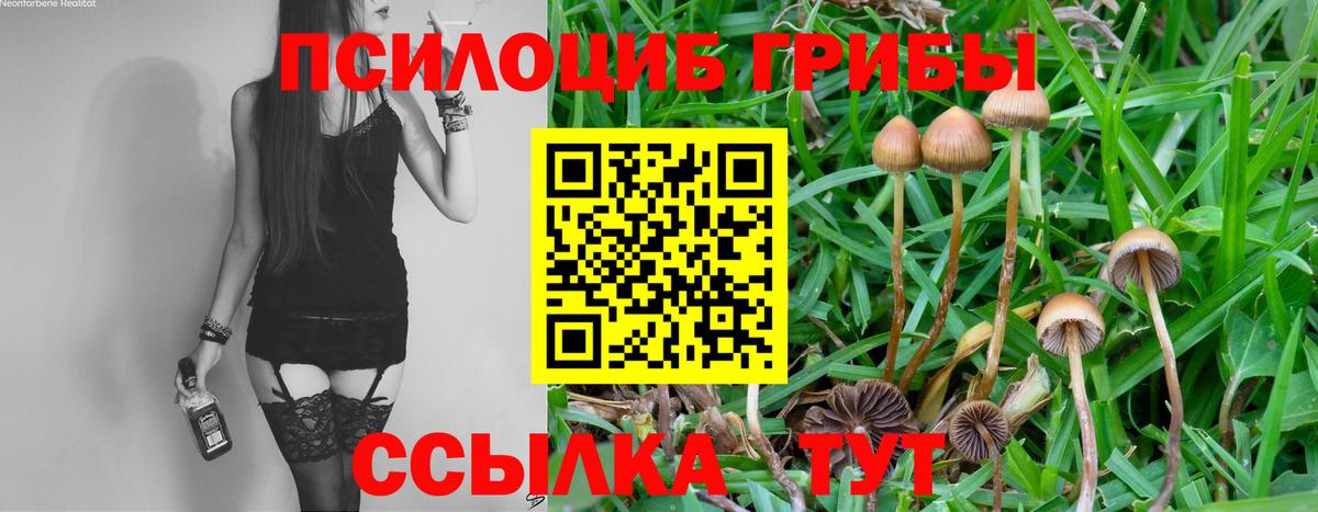 Галлюциногенные грибы ЛСД Протвино